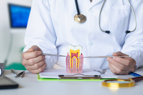 Best Emergency Dentist for Lost Fillings or Crowns in Roseburg Nth, OR